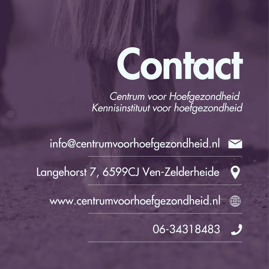 contact cvh